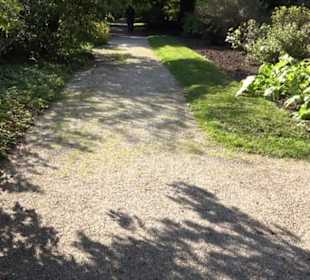 Botanischer Garten München