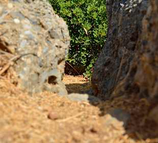 Ein paar Inspirationen von unserer Strandwanderung