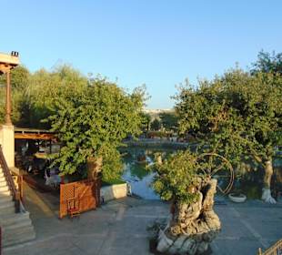 Gemütliche Einrichtung