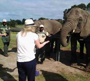 Knynsa Elephant Park