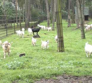 Zoo Olomouc