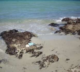 Was für ein Badeurlaub!