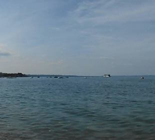 Bardolino