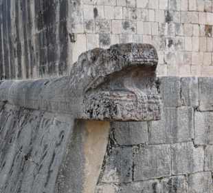 Im Zeichen der Schlange