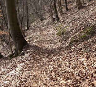 Wasserfallsteig