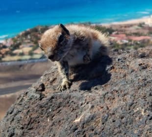 Wandern Playa de Esquinzo