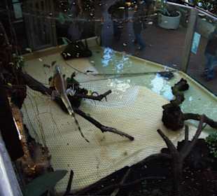 Zoo Dortmund - Die Tiere