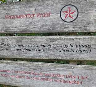 Wanderung auf dem Bergwald-Erlebnispfad