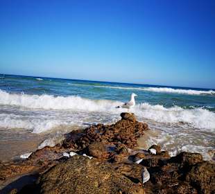 Strand Playa de Esquinzo / Playa de Butihondo