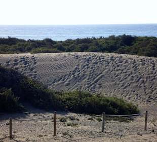 Blick vom Anexo auf die Dünen