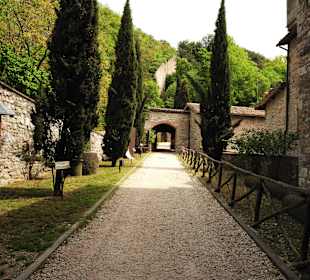 Park Ranghiasci