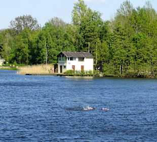 Gebäude der Wasserwacht