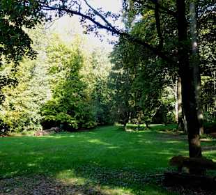 Die Schillerwiese in Herbststimmung 