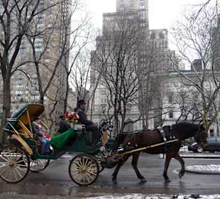Central Park Pferdekutsche