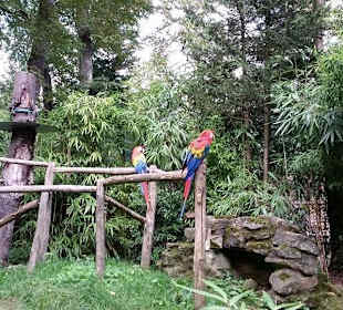 Zoo d'Amnéville