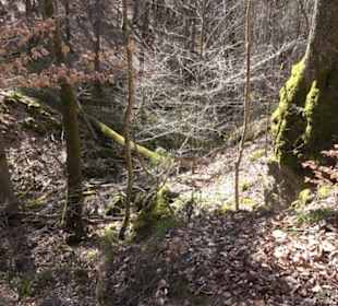 Historischer Rundwanderweg Aichtal