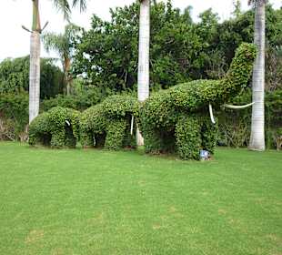 Loro- Parque/ Eingangsbereich