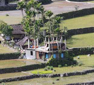 Reisterrassen Hungduan