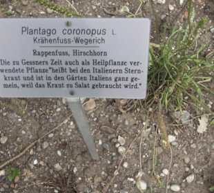 Alter Botanischer Garten