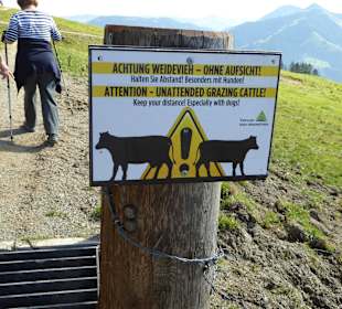 Berg Hohe Salve