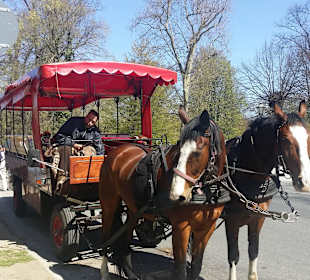 Kutschfahrt