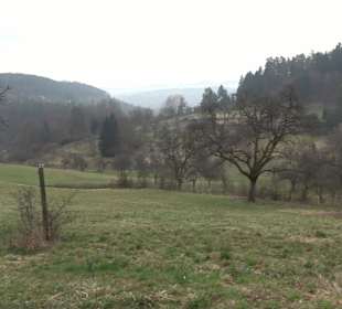 Unterjesinger Wengertwegle