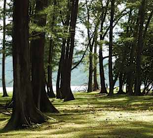 Sirinat National Park