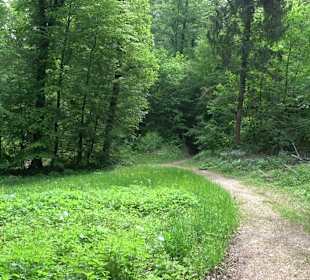 Breitenbachquelle