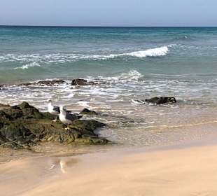 Strand Playa de Esquinzo / Playa de Butihondo
