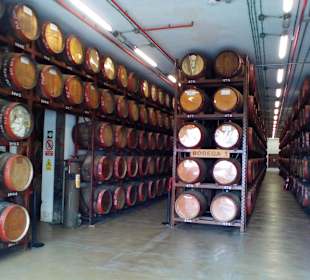 Destillerie Arehucas