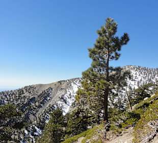 Горы Сан-Габриэль - снежные вершины