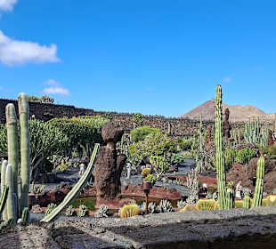 Kaktusgarten