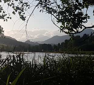 Furtner Teich