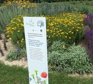 Blühendes Neresheim 2021