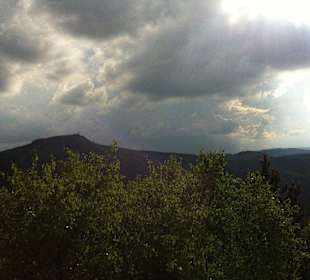 Blick zum Hochwald