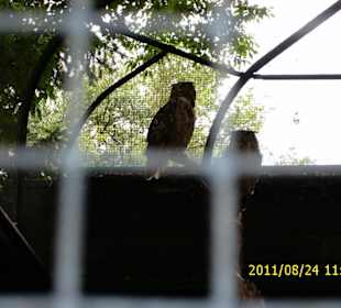 Besuch im Berliner Zoo