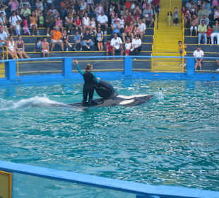 Miami Seaquarium