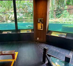 Singapur Zoo