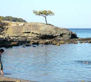 Phaselis