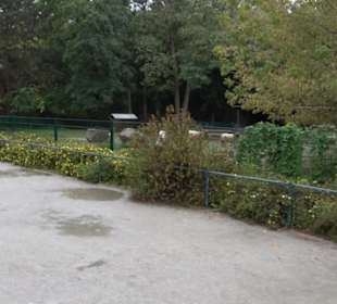Tierpark 