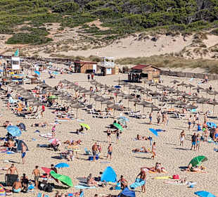 Strand