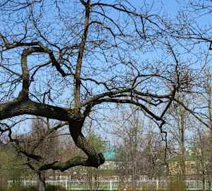 Pałac Aleksandrowski i park