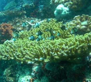 Обожаю эту фотографию!