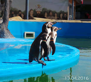 Discovery Park Manavgat