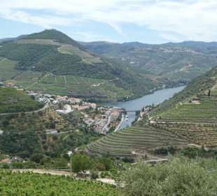 Douro Tal