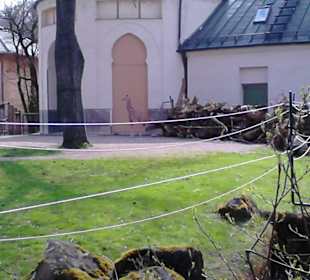 Tierpark Hellabrunn in München