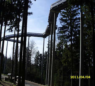 Waldwipfelweg