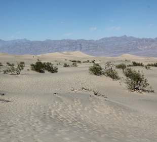 Mesquite Sand Dunes