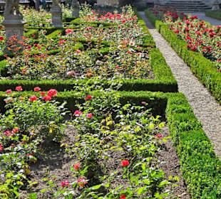Rundgang durch den Rosengarten der Neuen Residenz