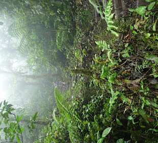Auf dem Weg runter zum See
